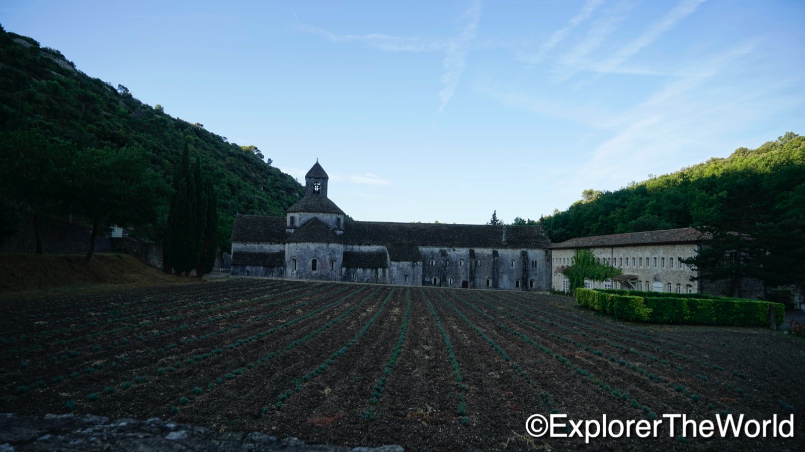 Abbazia di Senanque00008