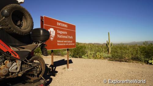 Saguaro National Park1