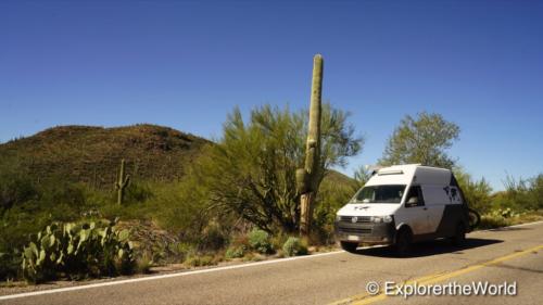 Saguaro National Park7